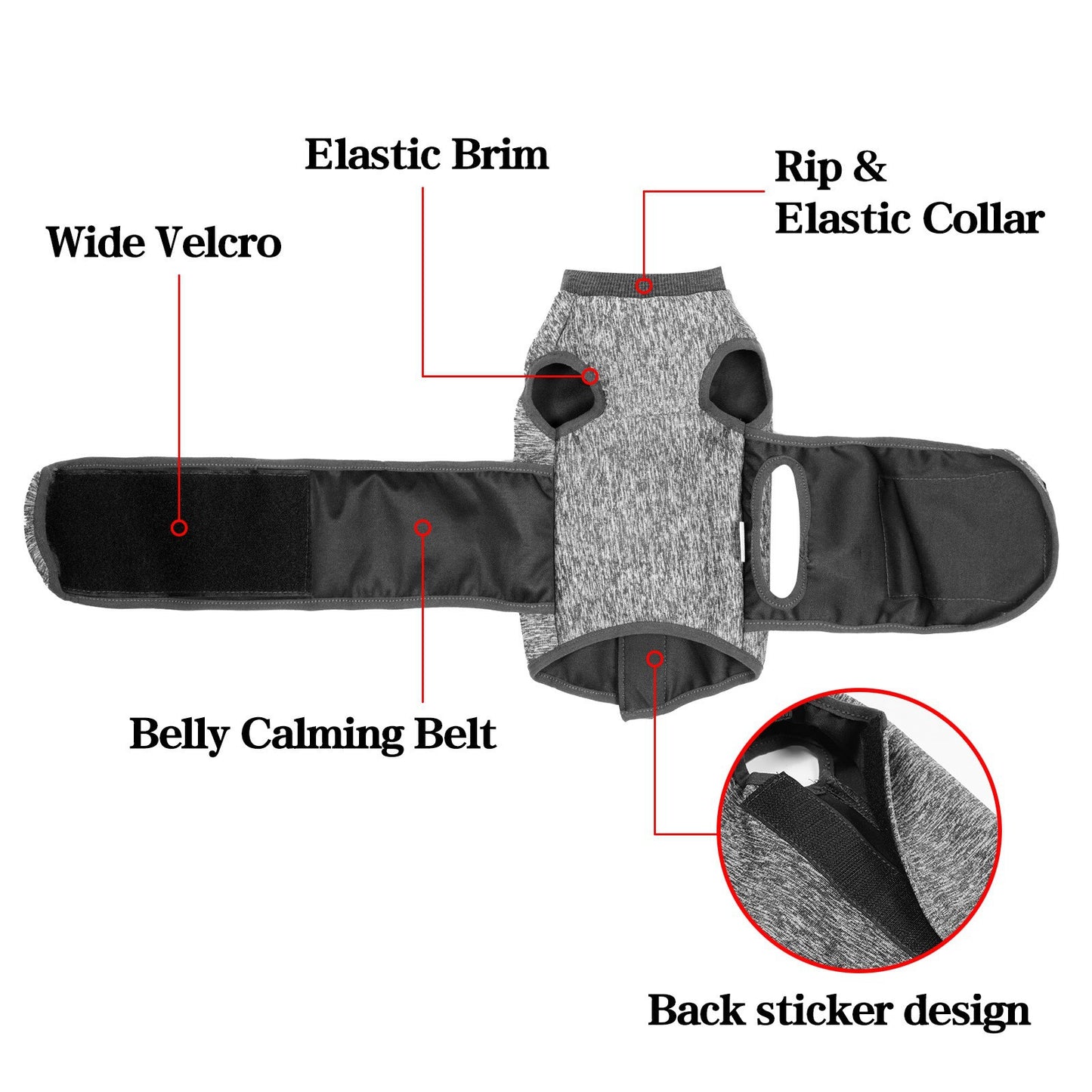 Vêtements Populaires pour Animaux – Vêtements de Printemps pour Chat