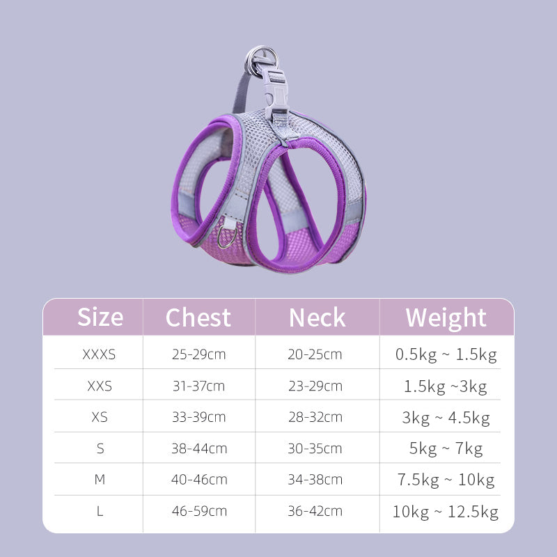 Corde de Traction pour Chat – Harnais de Poitrine Anti-Fuite