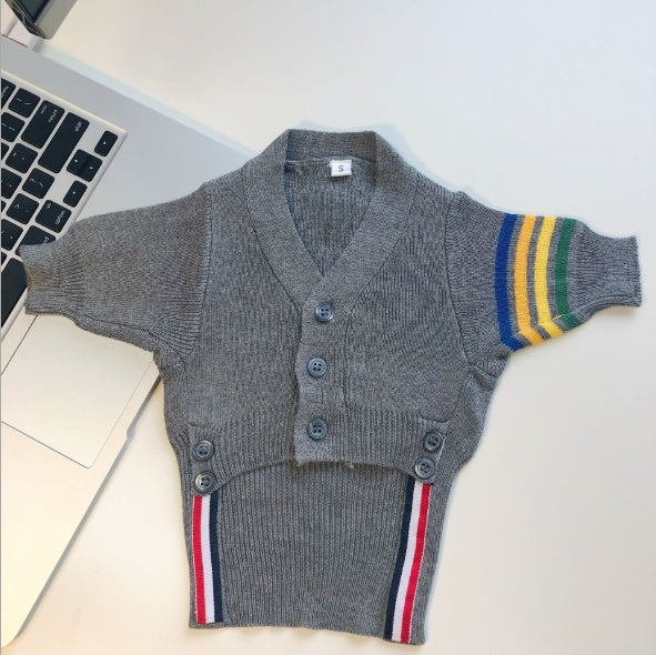 Vêtements pour Chat – Mode et Confort