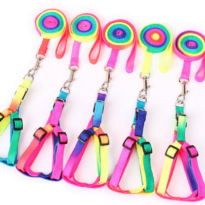 Nouvelle Corde de Traction Réglable pour Animaux