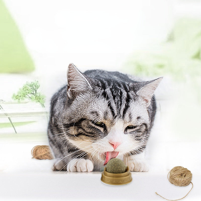 Balles de Catnip pour Chats