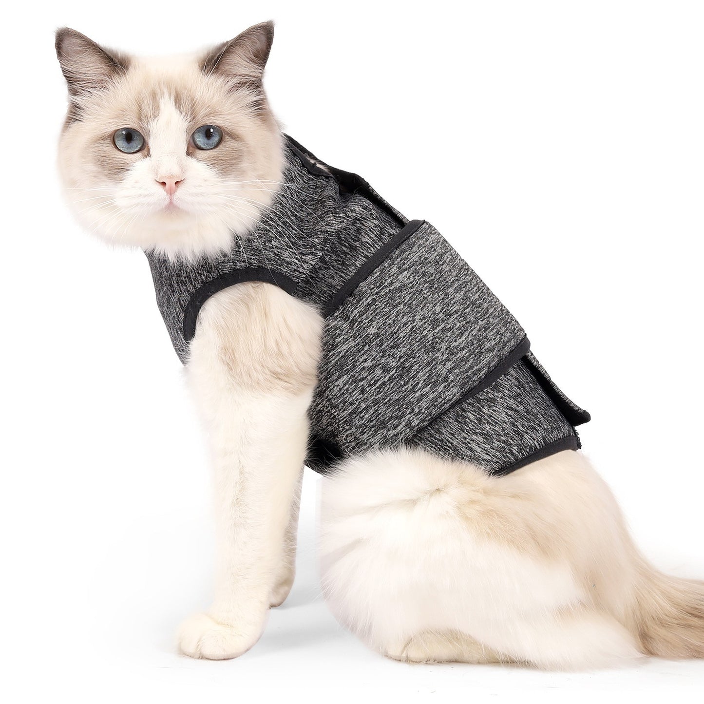 Vêtements Populaires pour Animaux – Vêtements de Printemps pour Chat