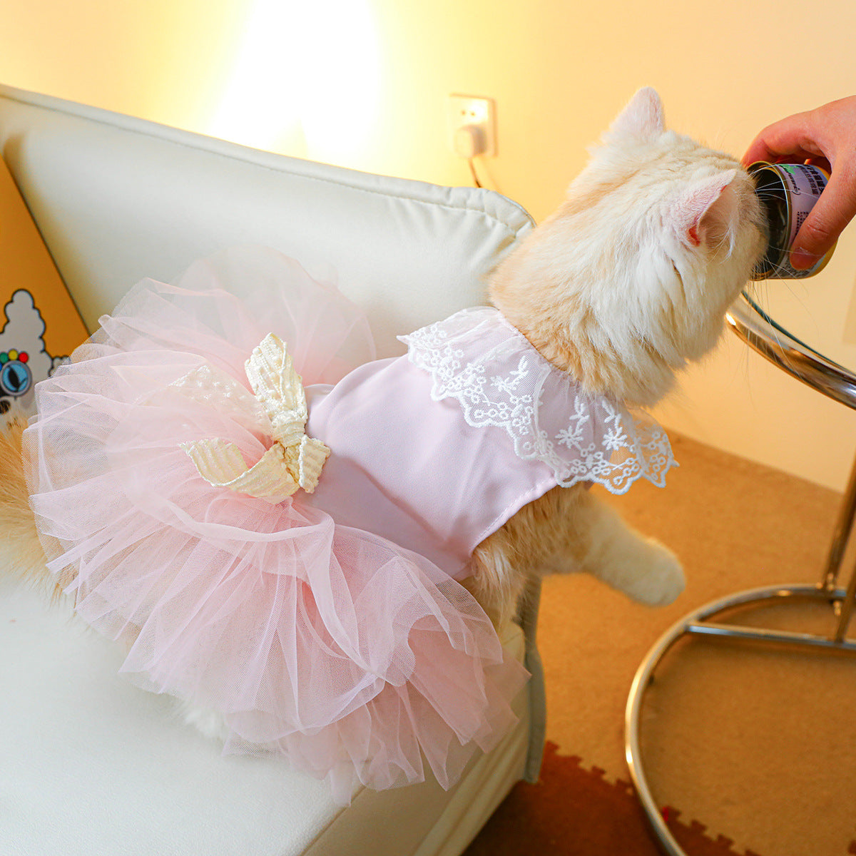 Vêtements pour Animaux – Vêtements en Dentelle pour Chat