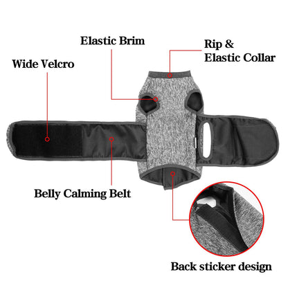 Vêtements Populaires pour Animaux – Vêtements de Printemps pour Chat