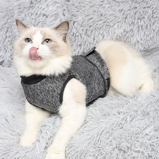Vêtements Populaires pour Animaux – Vêtements de Printemps pour Chat