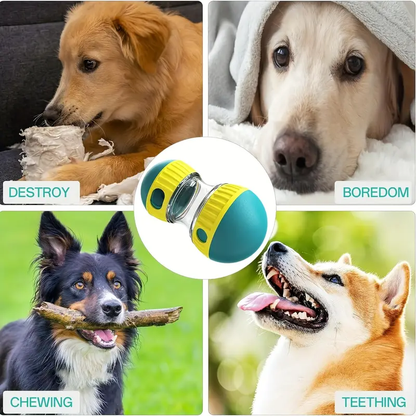 Distributeur de Friandises pour Chiens Réglable - Jouet IQ Interactif & Mangeoire Lente